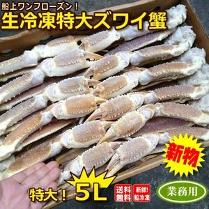 【年末年始対応】2023年新物　送料無料！船上凍結産地箱 ５L 生ズワイガニ５kg（約12～１４肩【かに カニ 蟹】aaa