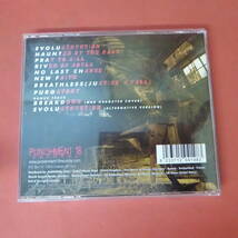 CD1-231121☆WOSLOM - EVOLUSTRUCTION CD 輸入盤　ブラジル・スラッシュメタル・バンド_画像2