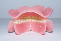 歯科 総義歯 サンプル 模型 見本 入れ歯 補綴 フルデンチャー 説明 技工 資料 自費_画像4
