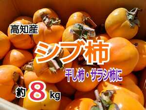 高知産 渋柿　約８キロ　干し柿　さらし柿用