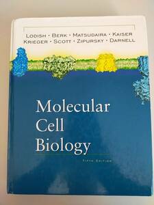 Molecular Cell Biology 第5版　Harvey Lodish Arnold Berk Paul Matshdaira Chris A.Kaiser Mtthew P.Scott S.Lawrence Zipursky洋書