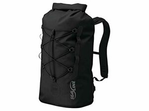 SealLine(シールライン) アウトドア 防水 リュック ビッグフォークドライデイパック ブラック 30L 【日本正規品】