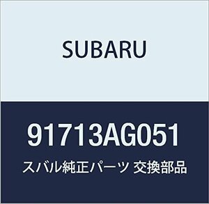SUBARU (スバル) 純正部品 プロテクタ リヤ ガーニツシユ レガシィB4 4Dセダン レガシィ 5ドアワゴン