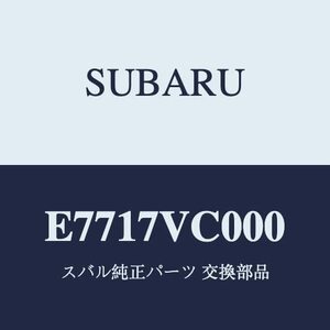 SUBARU(スバル) 純正部品 LEVORG(レヴォーグ) カーゴステップパネル ステンレス