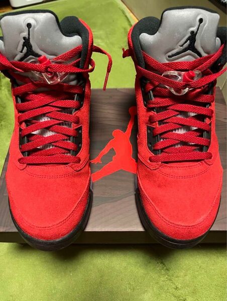 AJ 5 Raging Bull Toro Bravo 28cm