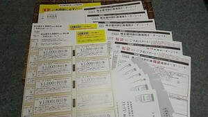 送料無料 HABA 20000円分 株主優待券＋オーダーシート ＋ 封筒ハーバー研究所 ～2024年12月31日