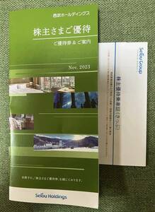 【最新】西武ホールディングス　西武鉄道 株主優待 一式（300株以上500株未満）（乗車証2枚、冊子）【最新】