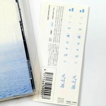 九州男 / こいが俺ですばい (CD)_画像6