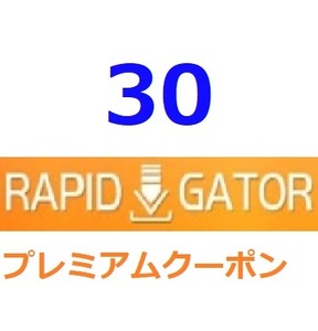 Rapidgator　プレミアム公式プレミアムクーポン 30日間　帯域幅１TB入金確認後1分～24時間以内発送