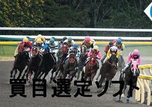 【買い目ソフト】馬連で万馬券！私が作成しました！競馬に特化したソフトです。競艇や競輪等には使わないで下さい。◇◇　