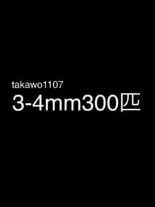 3~4㎜300匹＋20% ヨーロッパイエコオロギ●フタホシコオロギ より丈夫で管理しやすく 臭い少なめ