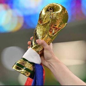 FIFA ワールドカップ W杯 トロフィー 優勝カップレプリカ 原寸大