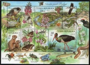 切手 H911 チェコ 動植物 昆虫 蝶 鳥 花 トカゲほか SL1完 2023年発行 未使用