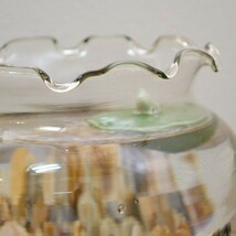 フリル金魚鉢 大 ガラス製 メダカ 水槽 水鉢 アクアリウム 熱帯魚_画像3
