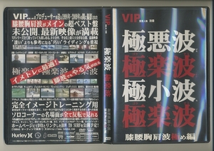 サーフィン DVD★VIP 極楽波 重要人物 別冊 ロブマチャド 小波 ケリースレーター 大野修聖 タジバロウ 田嶋鉄兵 ミックファニング