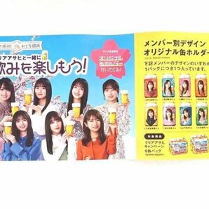 【非売品】乃木坂46 おとな選抜　キャンペーンポスター