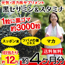 黒セサミン＋スタミナサプリ サプリ 黒ゴマ 国産 サプリメント 送料無料 大量 約4ヵ月分 〔120日分×1袋〕〔メール便出荷〕_画像1