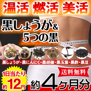 黒しょうが＆5つの黒 黒ショウガ サプリ ダイエット 国産 サプリメント 送料無料 約4ヵ月分〔120日分×1袋〕〔メール便出荷〕