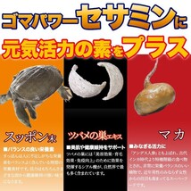 黒セサミン＋スタミナサプリ サプリ 黒ゴマ 国産 サプリメント 送料無料 大量 約4ヵ月分 〔120日分×1袋〕〔メール便出荷〕_画像4