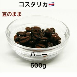 自家焙煎 コスタリカハニー 200g×2 + 100g×1 | 新鮮なコーヒー豆 | アイスコーヒーに最適| yhr-coffee