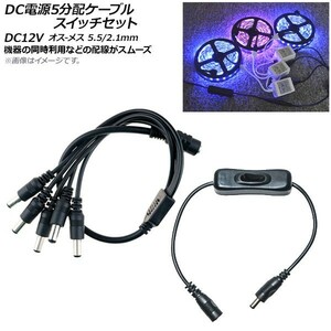 AP DC電源ケーブル スイッチケーブル付き 5分配 DC12V オス-メス 5.5/2.1mm 約37cm AP-UJ0462-SW-5