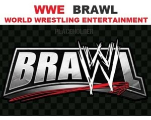 ニンテンドー3DSソフト 　非売品　未発売　開発試作WWE BRAWL　Not for sale　 Unreleased　 Trial production　
