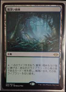 定形郵便で送料無料 MtG モダンホライゾン2 霧深い雨林 レア 日本語 通常 1枚 即決