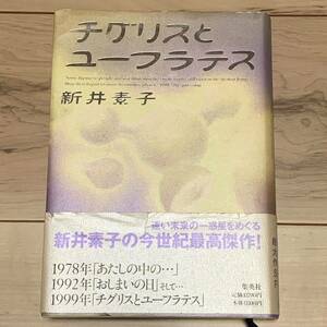 帯付 第20回日本SF大賞受賞 新井素子 チグリスとユーフラテス 集英社刊 SF