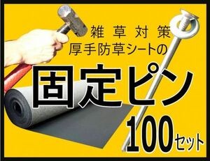 【送料無料】（固定ピン100本セット)　　雑草防止 除草 厚手 留め具 防草シート用 止め 施工 ロングピン