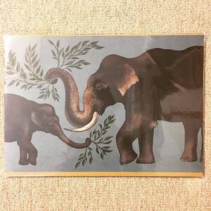 ヤフオク ゾウ イラストの中古品 新品 未使用品一覧 ヤフオク ゾウ イラストの中古品 新品 未使用品一覧