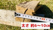 ★すぐに使える　乾燥済み　樫(カシ)の薪　広葉樹　大容量　30cmサイズ★ 薪ストーブ、焚き火、ピザ窯、キャンプ、バーベキューにおすすめ_画像6