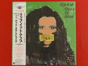 * dead * or *a live Dead Or Alive/ lip *ito* up Rip It Up/ shrink attaching / domestic record obi attaching LP,28*3P-843 #J24YK2