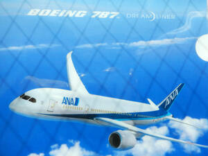 未使用《 全日空 ANA　BOEING 787　A4サイズ クリアファイル A》☆★☆★☆★☆★ ジェット 飛行機 グッズ 全日本空輸 ボーイング 787 