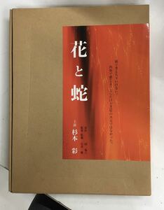 m1126-10.杉本彩/団鬼六/石井隆/花と蛇/ 生写真集/映画/ハウハウスグラビア/アート/エロス/古本