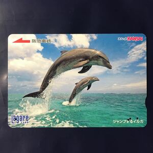 2008年8月25日発売柄ー動物シリーズ「ジャンプするイルカ」ー阪急ラガールカード(使用済スルッとKANSAI)