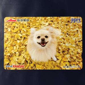 2008年10月25日発売柄ー犬シリーズ「落ち葉とポメラニアン」ー阪急ラガールカード(使用済スルッとKANSAI)