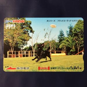 2007年10月25日発売柄ー犬シリーズ「フラットコーテッド・レトリーバー」ー阪急ラガールカード(使用済スルッとKANSAI)