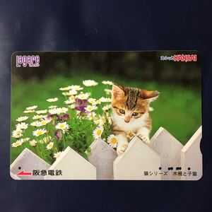 2006年7月25日発売柄ー猫シリーズ「木柵と子猫」ー阪急ラガールカード(使用済スルッとKANSAI)