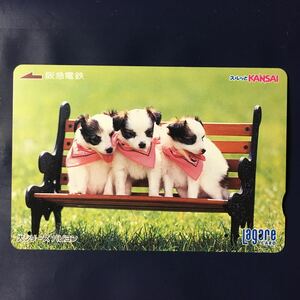 2005年4月1日発売柄ー犬シリーズ「パピヨン」ー阪急ラガールカード(使用済スルッとKANSAI)