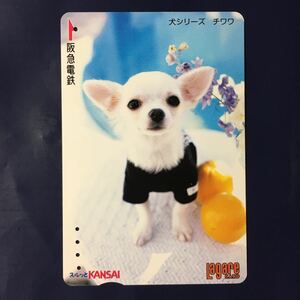 2005年8月25日発売柄ー犬シリーズ「チワワ」ー阪急ラガールカード(使用済スルッとKANSAI)