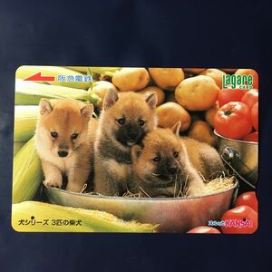 2005年12月25日発売柄ー犬シリーズ「3匹の柴犬」ー阪急ラガールカード(使用済スルッとKANSAI)