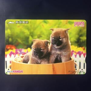 2004年4月1日発売柄ー犬シリーズ「柴犬」ー阪急ラガールカード(使用済スルッとKANSAI)