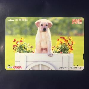 2004年4月25日発売柄ー犬シリーズ「ラブラドール」ー阪急ラガールカード(使用済スルッとKANSAI)