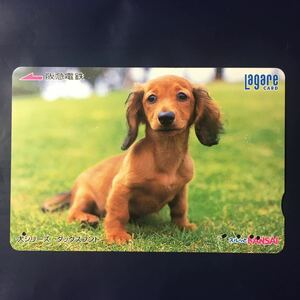 2004年5月25日発売柄ー犬シリーズ「ダックスフンド」ー阪急ラガールカード(使用済スルッとKANSAI)