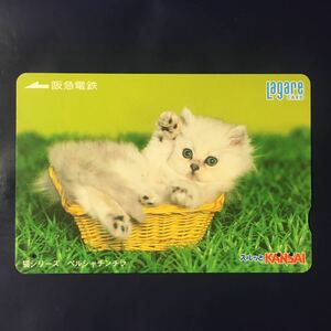 2004年8月25日発売柄ー猫シリーズ「ペルシャチンチラ」ー阪急ラガールカード(使用済スルッとKANSAI)