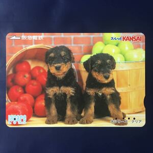 2004年9月25日発売柄ー犬シリーズ「テリア」ー阪急ラガールカード(使用済スルッとKANSAI)