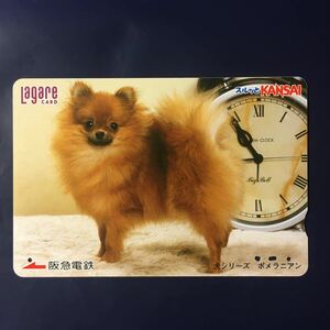 2004年10月25日発売柄ー犬シリーズ「ポメラニアン」ー阪急ラガールカード(使用済スルッとKANSAI)