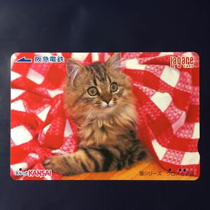 2004年12月25日発売柄ー猫シリーズ「クロスと子猫」ー阪急ラガールカード(使用済スルッとKANSAI)