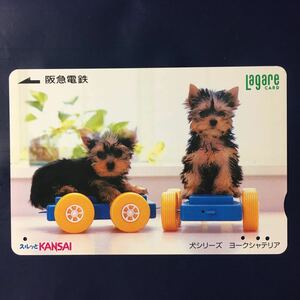2005年2月25日発売柄ー犬シリーズ「ヨークシャテリア」ー阪急ラガールカード(使用済スルッとKANSAI)