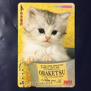 2002年10月25日発売柄ー動物シリーズ「ペルシャチンチラ」ー阪急ラガールカード(使用済スルッとKANSAI)